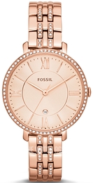 es4301 fossil