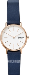 Skagen skw6274 online