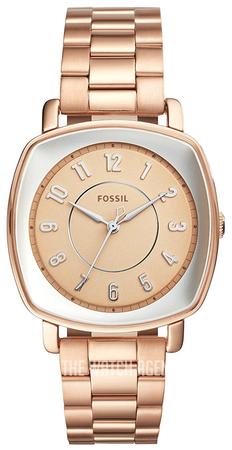 fossil idealist