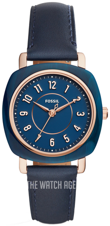 fossil idealist