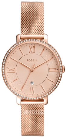 fossil guess