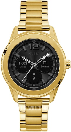 guess c1002m3