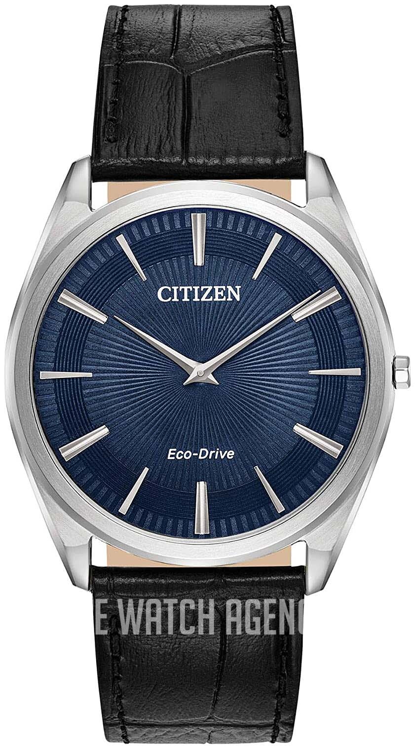 AR3070-04L Citizen Eco Drive 180 | TheWatchAgency.com