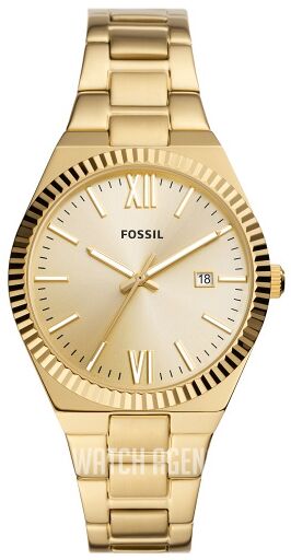 Orologio Fossil Donna Raquel - Al Quarzo, Acciaio Inox, Quadrante Bianco, Cod. ES5304 - Foto 7